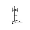Assmann Electronic Mobilus stovas DIGITUS DA-90370 (37" - 70", maks. 50kg)