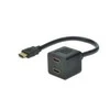 Assmann Electronic DIGITUS HDMI Y skirstytuvo kabelis tipas A -2xtipas A M/F 0,2m pasyvus Full HD auksinis bl