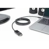 Assmann Electronic ASSMANN USB Type-C Gen 2 Adapteris C Type-DP prie DP