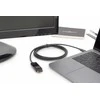 Assmann Electronic ASSMANN USB Type-C Gen 2 Adapteris C Type-DP prie DP