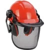 Einhell Forestry helmet (BG-SH 2 ) (oranžinis/juodas)