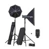 Elinchrom studijos blykstės rinkinys D-Lite RX 4/4 To Go (20839)