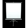 Elite Screens | su stovu Series | T113NWS1 | Įstrižainė 113" | 1:1 | Matomo vaizdo plotis (W) 203 cm | Baltas