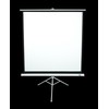 Elite Screens | su stovu Series | T85NWS1 | Įstrižainė 85" | 1:1 | Matomo vaizdo plotis (W) 152 cm | Baltas