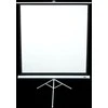 Elite Screens | su stovu Series | T99NWS1 | Įstrižainė 99" | 1:1 | Matomo vaizdo plotis (W) 178 cm | Baltas