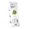 Click And Grow Click &amp; Grow Click &amp; Grow Smart Garden pildomas salotos 3vnt