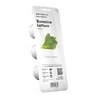 Click And Grow Click & Grow Click & Grow Smart Garden pildomas salotos 3vnt