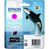 Epson T7603 | Rašalo kasetė | Magenta