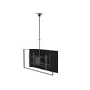Laikiklis Equip įrengti 32"–65" ant lubų tvirtinamą dviejų ekranų televizoriaus laikiklį – viešas ekranas – 80 kg – 81,3 cm (32 colių) – 165,1 cm (65 colių) – 100 x 100 mm – 600 x 400 mm