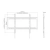 Equip Sieninis laikiklis 650323 60'' - 100''