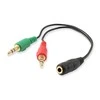 Equip Audio Splitter Y-Kabelis moteriškas -> 2x vyras