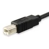 USB kabelis Equip USB-C - USB-B 1 m Juodas (12888207)