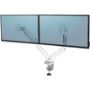 Laikiklis Fellowes | Platinum Monitorius Arm iki 27" | 8056301 | Baltas