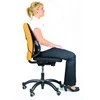 Nugaros atrama Fellowes Professional Series Mesh Back Support