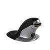 Vertikali belaidė pelė FELLOWES PENGUIN, maža