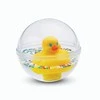 FISHER PRICE žaislas Ančiukas burbule, 75676