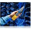 FLUKE NETWORKS IntelliTonePro 200 Tonerio ir zondo rinkinys