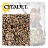 Games Workshop Citadel Skulls