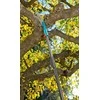 GARDENA "Combisystem" teleskopinė rankena 210 - 390 cm