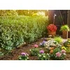 Gardena Lašelinio drėkinimo rinkinys daržovių/augalų eilėms (15m)