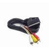 Gembird Cableexpert | SCART/3 x RCA | SCART (21 kontakto) | 3 x RCA