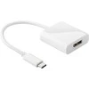 Adapteris USB-C prie DisplayPort Goobay lizdo