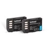 HÄHNEL BATTERY PANASONIC HL-PLF19 TWIN PACK