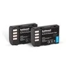 HÄHNEL BATTERY PANASONIC HL-PLF19 TWIN PACK