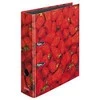 Segregatorius Herlitz A4 80mm raudonos (10485126)