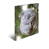 Herma Folder A4 blizgus koala