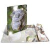 Herma Folder A4 blizgus koala