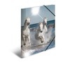 Herma Folder A4 Blizgus Pferd