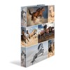 Segregator Herma 4 žiedų A4 35 mm (19360 m.)