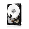 Sandisk Išorinis Kietasis Diskas - Western Digital Ultrastar 22TB SAS Gold