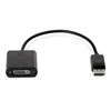 Hewlett Packard (HP) HP Ekranas Port to DVI Adapteris