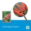 Hewlett Packard (HP) HP vaizdų perkėlimo rinkinys, skirtas CLJ3500/3700 Q3658A