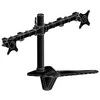 iiyama DS1002D-B1 monitoriaus laikiklis arba stovas 76,2 cm (30") Juoda