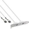 InLine Vadovaukitės 2x USB 2.0 A tipo moteriai (33390)
