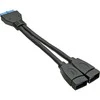 InLine USB 3.0 adapteris yra 19 kontaktų – USB 3.0 (33445I)
