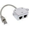 InLine Dubler prievadai ISDN, RJ45 vyrų 2x RJ45 moterų (69932A)