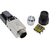 InLine ® RJ45 kištukas Cat.6A 500MHz, lauko montuojamas, ekranuotas, su užsukamu dangteliu