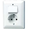 JUNG AS 5576 U WW - CEE 7/3 - Baltas - Duroplast - 250 V - 80.5 mm - 105 mm