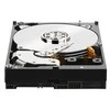 Sandisk „Western Digital WD Desktop Juodas“ 4 TB HDD 7200 aps./min. 6 Gb/s serijinis ATA sATA 256 MB talpykla 3,5 colio vidinė, atitinkanti RoHS reikalavimus, urmu