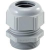 LAPP SKINTOP ST PG 7 RAL7001 SGY,PA2.5-6.5MM