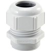 LAPP Poliamido kabelių laidininkas M20 IP68 SKINTOP ST-M 20x1.5 Šviesiai pilka 53111420