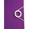 Violetinis segregatorius – elastinės gumytės užsegimas