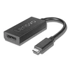 Lenovo | 4X90Q93303 USB-C prie DisplayPort | USB-C į Dp USB-C kištukas | DisplayPort