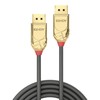 DisplayPort kabelis - LINDY Gold Line DisplayPort 1.4 kabelis, M/M, 1 m, Pilkas