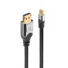 Kabelis Lindy Rodyti Port Mini - 3m sidabro (36313)