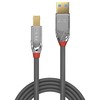 USB kabelis Lindy USB-A - USB-B 5 m juoda (JAB-4327169)